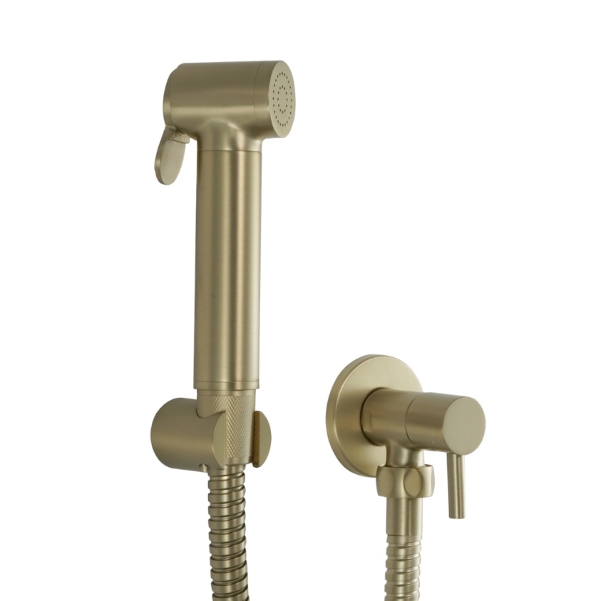 Product Cut out image of the JTP Vos Brushed Brass Angle Valve Douche Set